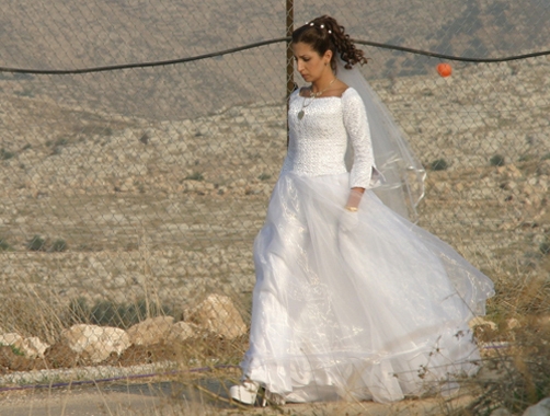 Large Number Of Foreign Brides 117