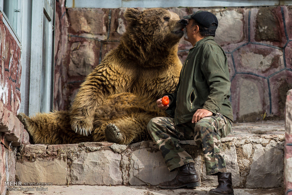 Man Of Nature An Engineer Who Takes Care Of Animals With His Family 