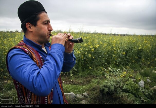 Nowruz Khani, Tradition to Show Gratitude towards Springs Arrival (11)