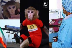 Iranian Space Monkeys Give Birth to Baby