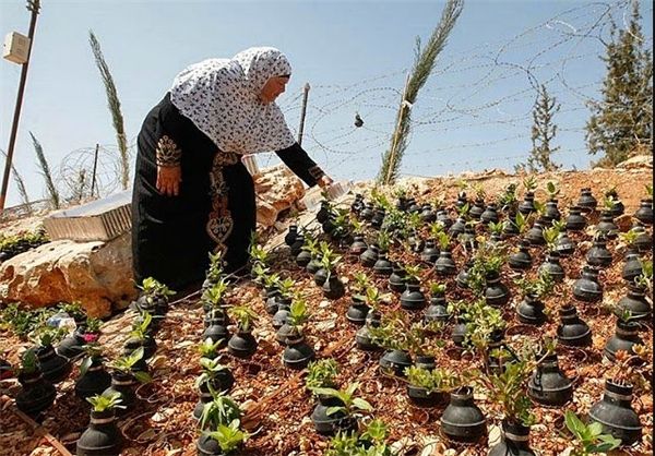 Palestinian flower pots