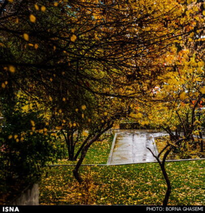 Iran-Tehran-Autumn
