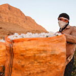 Cotton picking season in Iran