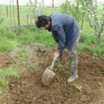 Kurdish Artist Buries His Sculpture of Renowned Poet