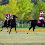 Polo Nominated for UNESCO Cultural Heritage Status