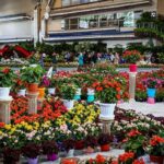 Tehran Hosts 13th International Festival of Flowers