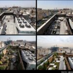 Gardens which made it to rooftops (PHOTOS)
