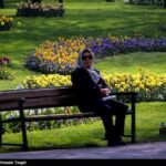 Iran’s Beauties in Photos: Tulips Festival in Mashhad