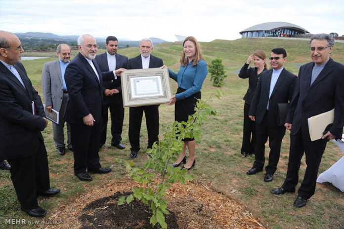 Zarif plants sapling (4)