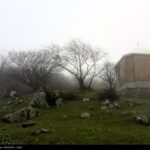 Fog in Rasht-Iran10