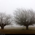 Fog in Rasht-Iran5