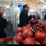 Organic food exhibition in Tehran 11