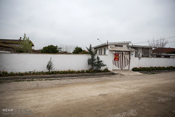 Domestic fish farming (1)