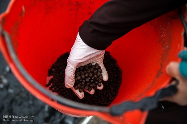 Domestic fish farming (10)