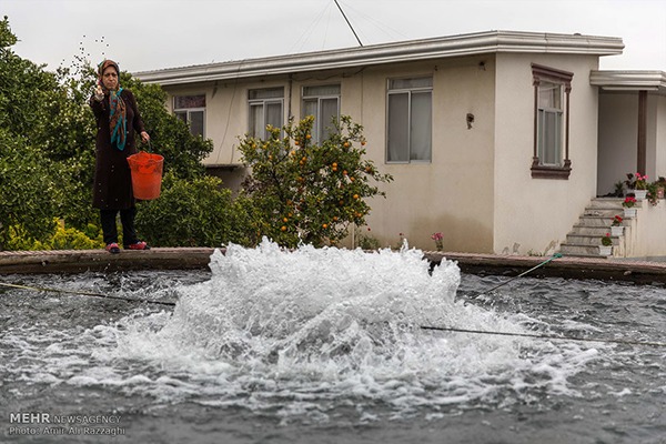 Domestic fish farming (14)