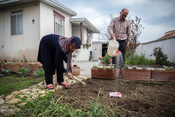 Domestic fish farming (35)