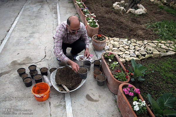 Domestic fish farming (44)