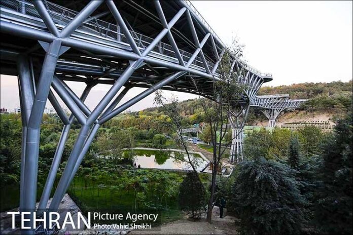 Nature Pedestrian Bridge
