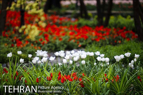 Persian garden Park10