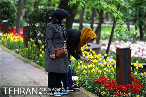Persian garden Park14