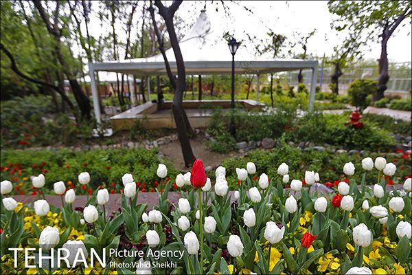 Persian garden Park22