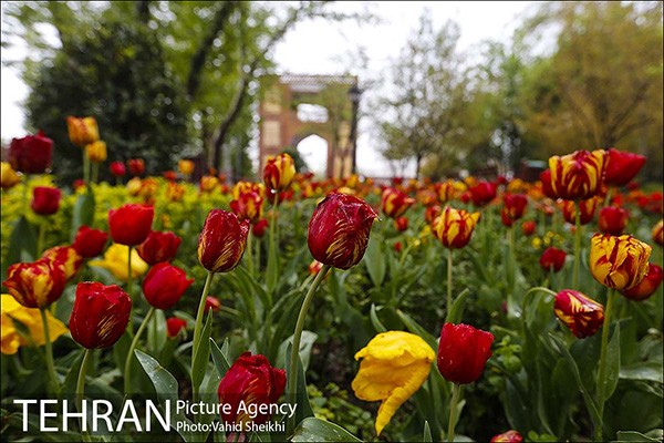 Persian garden Park26