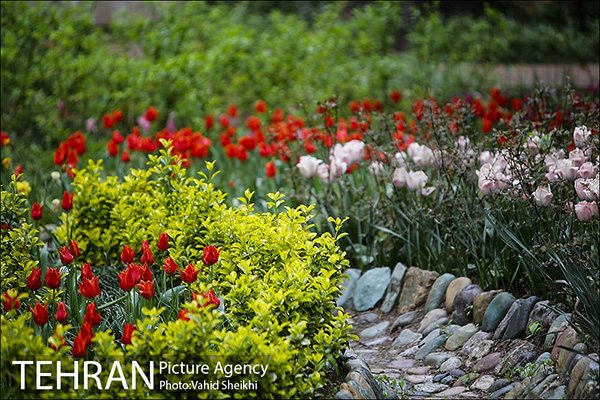 Persian garden Park35