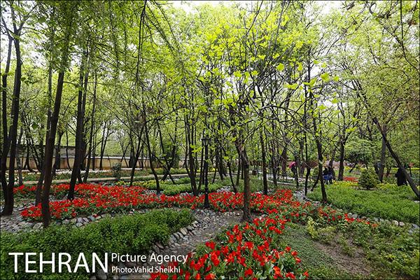 Persian garden Park45