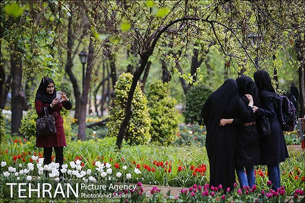 Persian garden Park7