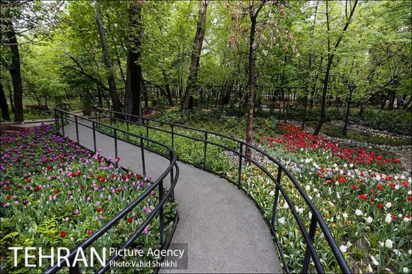 Persian garden Park9