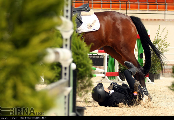 horse-jumping45