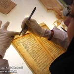 Book and Paper Conservation