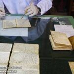 Book and Paper Conservation