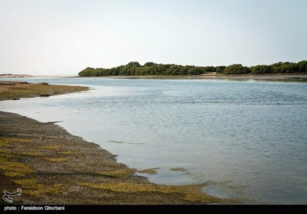 Nature of Qeshm Island - Iran
