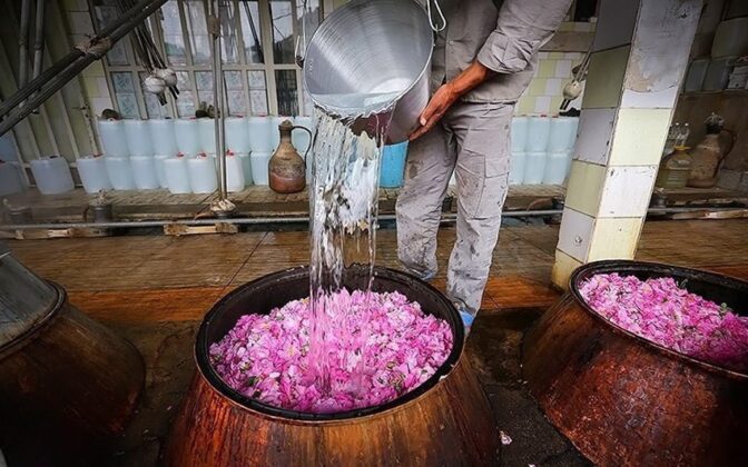 Rosewater Extraction