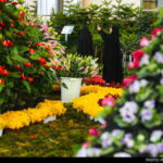 Tehran flower exhibition-15