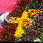 Tehran flower exhibition-18