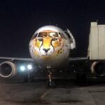 Cheetah-Aircraft