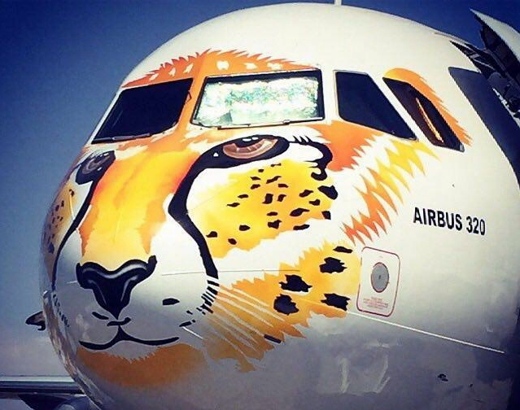 cheetah-airplane