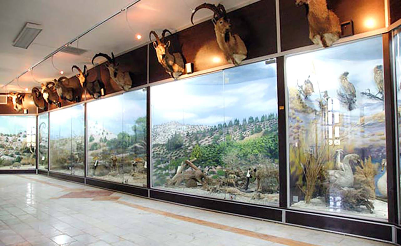 Qeshm Island's Geopark Museum 