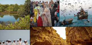 Qeshm Island; Major Tourist Hub in Southern Iran