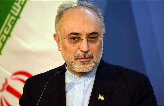 Head of the Atomic Energy Organization of Iran (AEOI) Ali Akbar Salehi