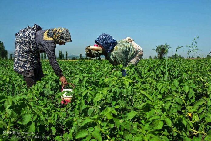 Hard-Working Women-12-