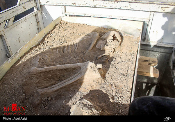 Skeleton of 7,500-Year-Old Man Found Almost Intact in Iran