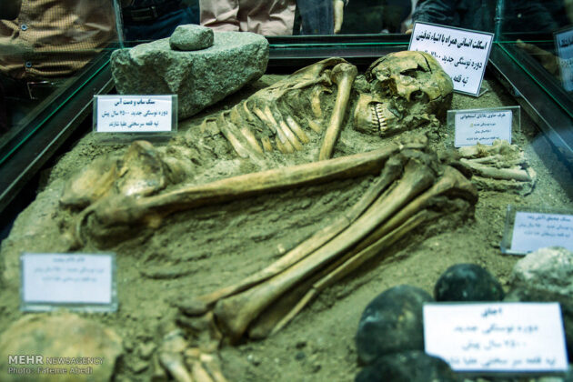 7,500-Year-Old Skeleton Unveiled in Iran's Shazand