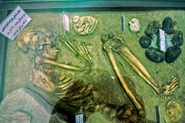7,500-Year-Old Skeleton Unveiled in Iran's Shazand
