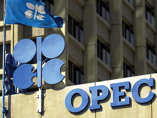 OPEC Fund Earmarks $500,000 to Help Iran Fight COVID-19