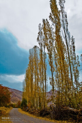 Beauty of Autumn in Iran’s Qazvin Province