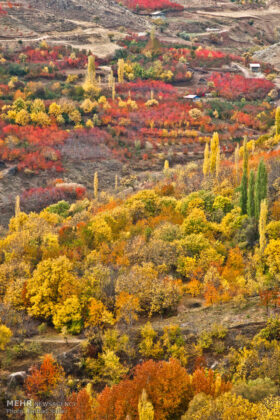 Beauty of Autumn in Iran’s Qazvin Province