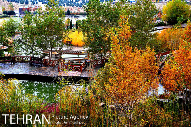 Colourful Autumn in Tehran's Abshar Mountain Park